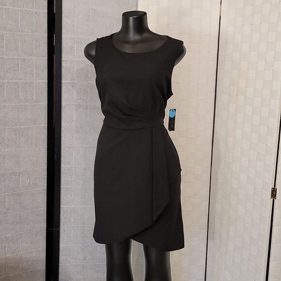 BRAND NEW WORTHINGTON SLEEVELESS HIDDEN ZIPPER CLOSURE SHEATH DRESS - Picture 2 of 16